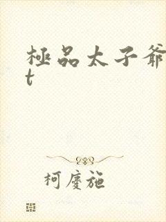 极品太子爷txt