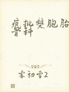 疯批双胞胎兄弟骨科封面