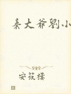 秦大爷刘小静