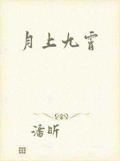 月上九霄封面