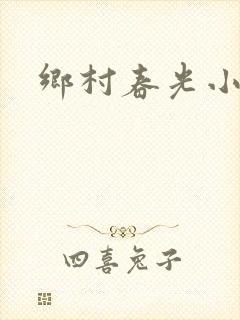 乡村春光小说