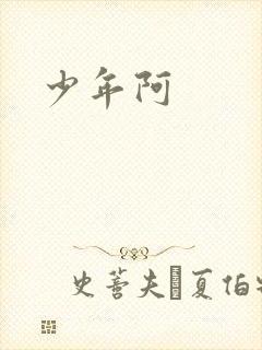 少年阿封面