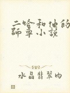 二哈和他的白猫师尊小说封面