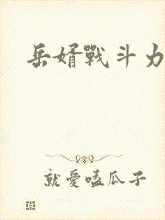 岳婿战斗力封面
