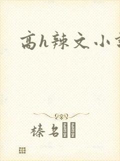 高h辣文小说