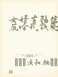 女婿有劲枪枪到底啥我钱飞了