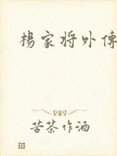 杨家将外传
