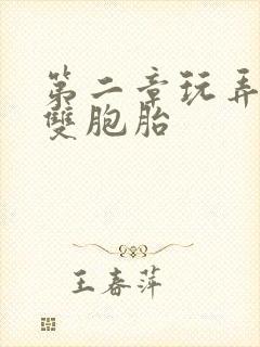 第二章玩弄少妇双胞胎