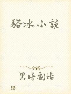 骆冰小说