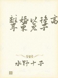 离婚以后高干 耳东兔子