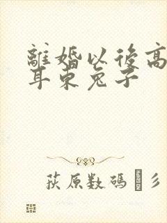 离婚以后高干 耳东兔子封面