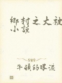 乡村之大被同眠小说