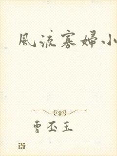风流寡妇小说