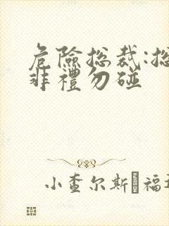 危险总裁:总裁非礼勿碰封面