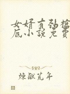 女婿有劲枪枪到底小说免费看封面