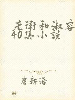 老卫和淑容1-40集小说