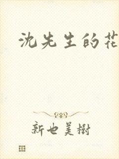 沈先生的花式