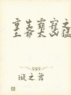 重生霸宠之摄政王爷太凶猛封面
