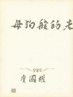 母狗般的老师封面
