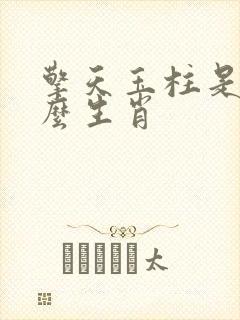 擎天玉柱是指什么生肖封面