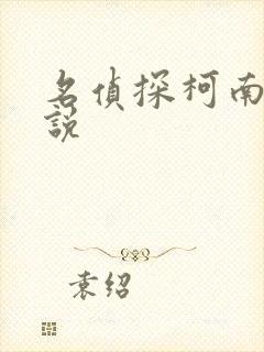 名侦探柯南h小说封面