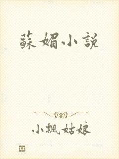 苏媚小说