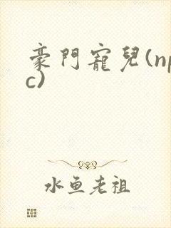 豪门宠儿(npc)