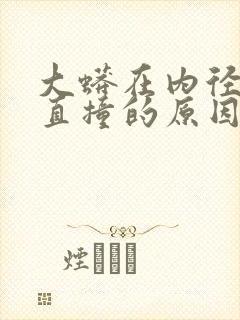 大蟒在内径横冲直撞的原因