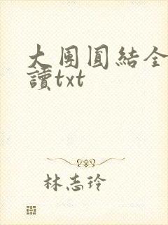 大团圆结全文阅读txt