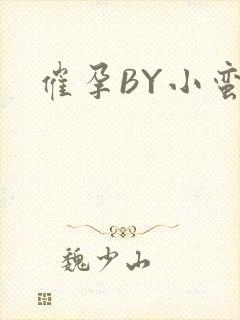 催孕BY小蛮腰封面