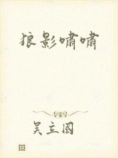 狼影啸啸封面