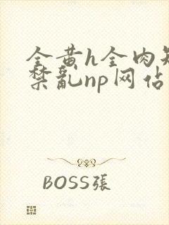 全黄h全肉短篇禁乱np网站