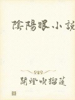 阴阳眼小说