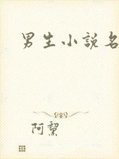 男生小说名字