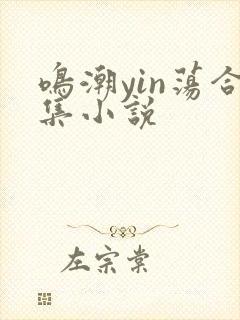 鸣潮yin荡合集小说
