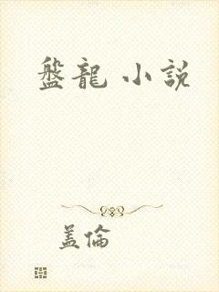 盘龙 小说封面