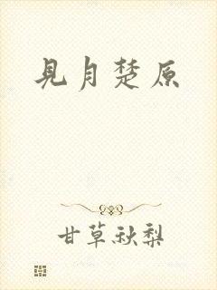 见月楚原封面