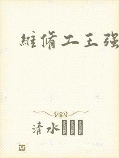 维修工王强张婷封面