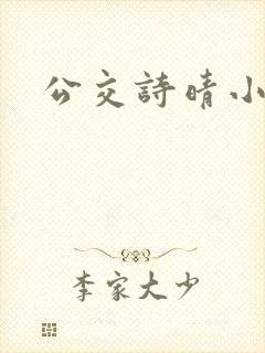 公交诗晴小说