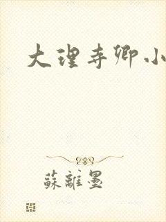 大理寺卿小说