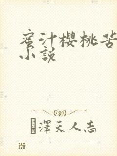 蜜汁樱桃苦咖啡小说