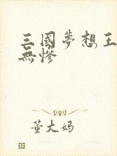 三国梦想王元姬无惨