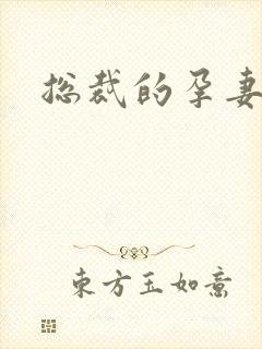 总裁的孕妻