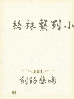丝袜系列小说