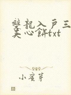 双龙入户三人行夹心饼txt