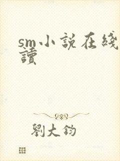 sm小说在线阅读