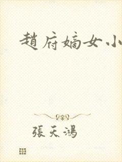 赵府嫡女小说