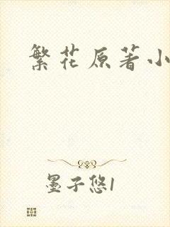繁花原著小说封面