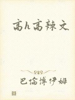 高h高辣文