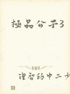 极品公子3